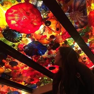 Meet your Posher, Bess